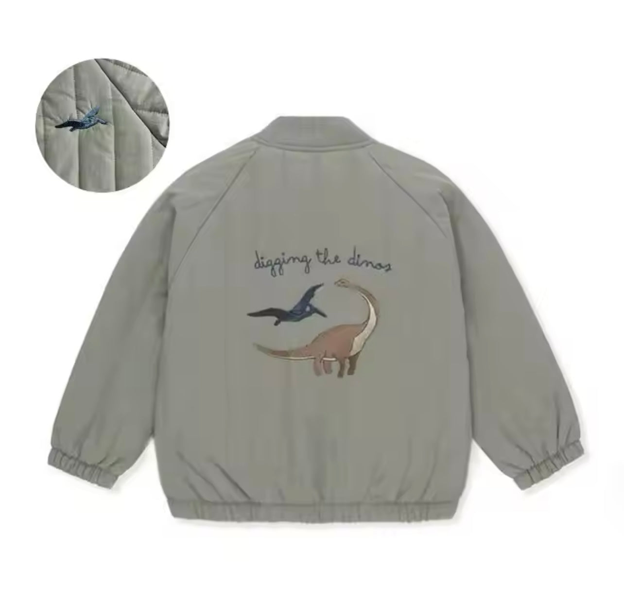 Dino Roar Dinosaur Pattern Print Men's Bomber Jacket