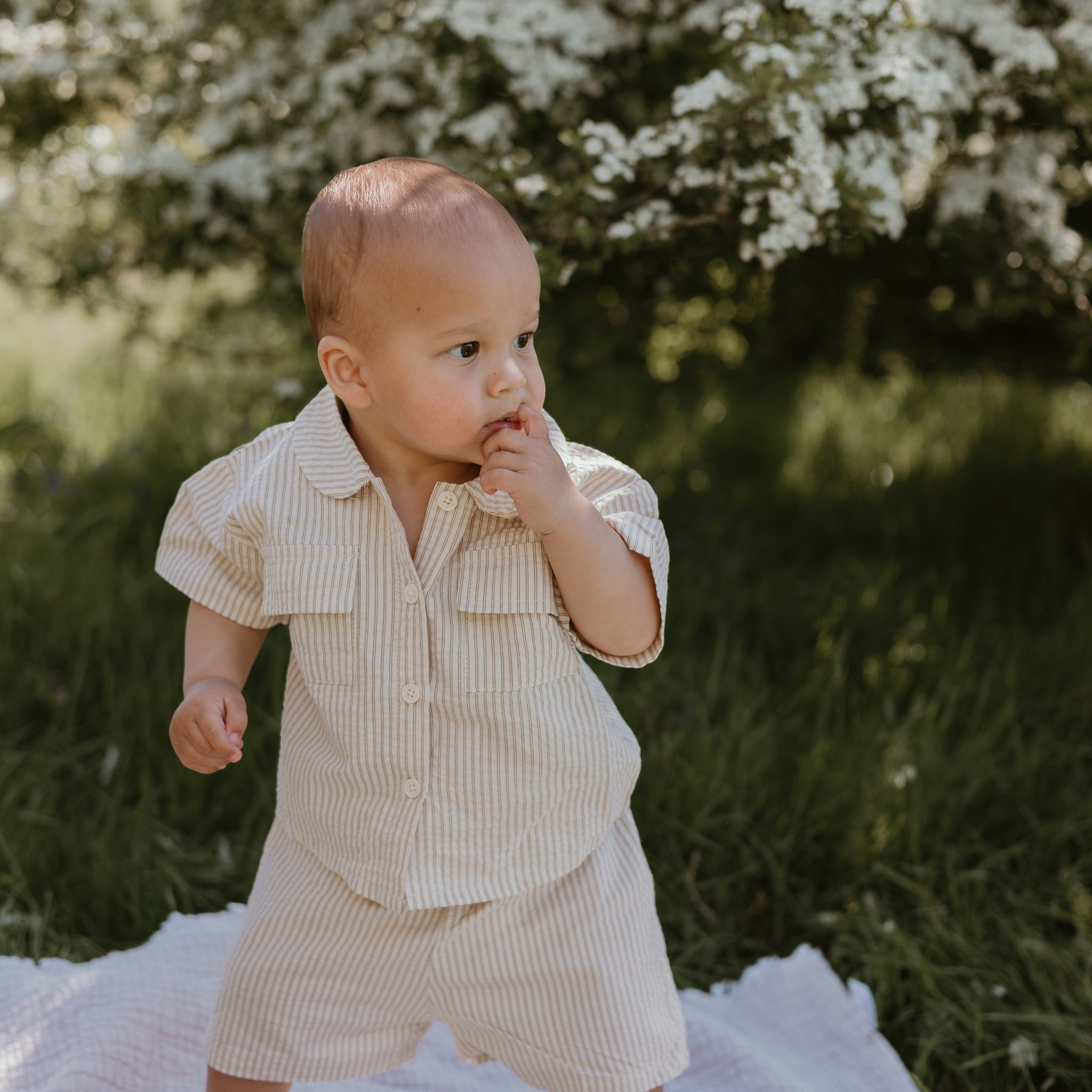 Stripe Shirt and Shorts Set