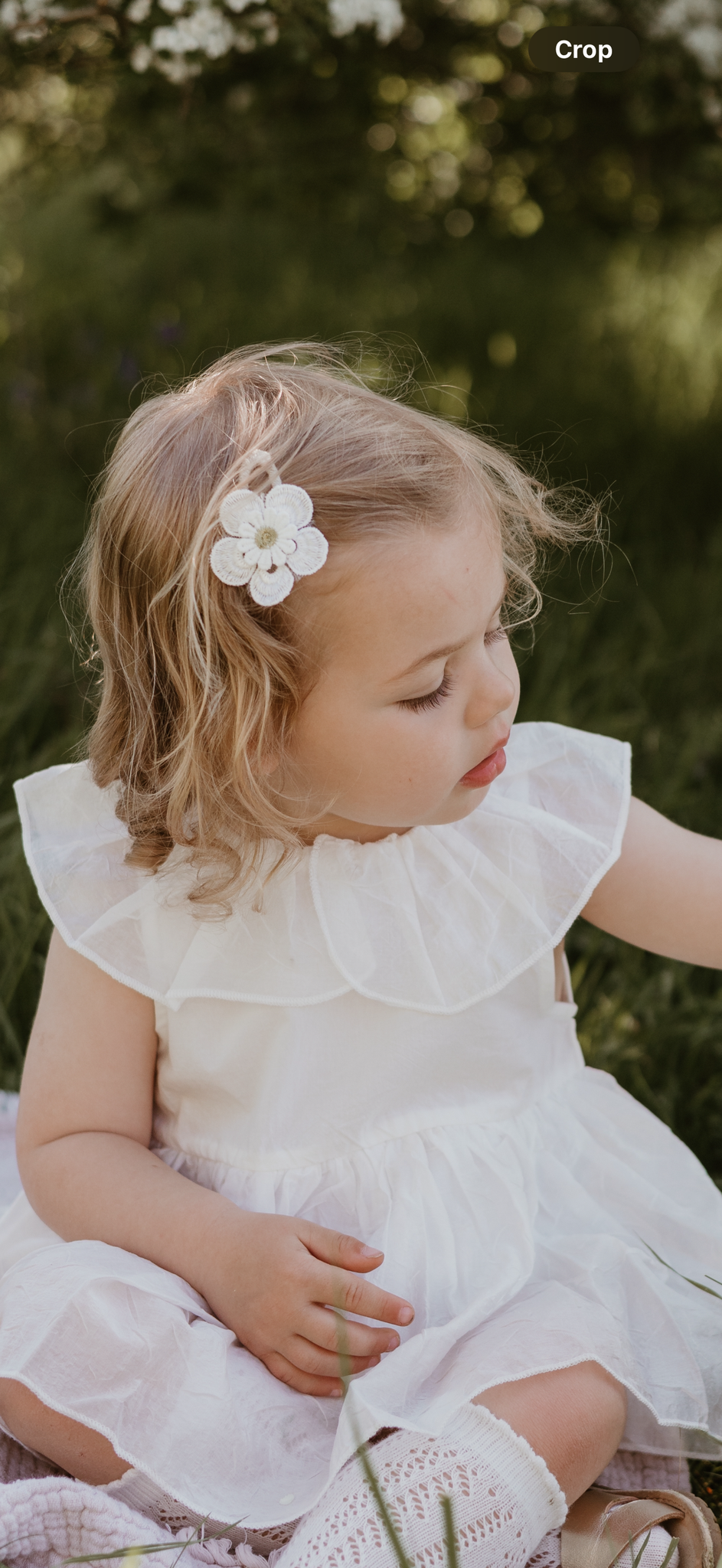 Flower and petal clip